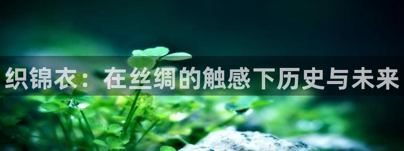 摩登7下