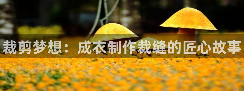 摩登7招商讨333OO