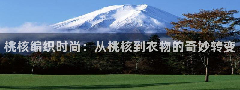 摩登招商7约22650
