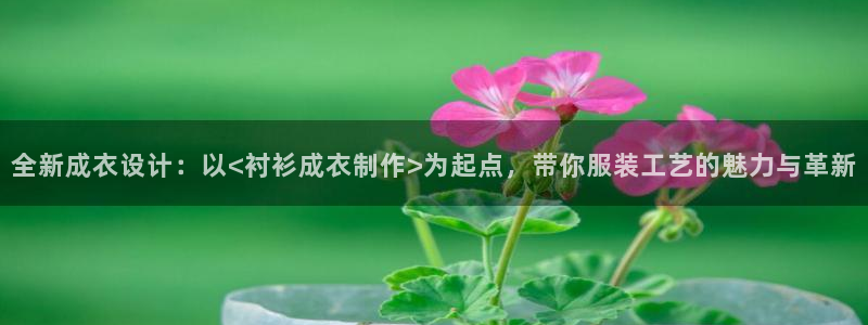 摩登4天7O667