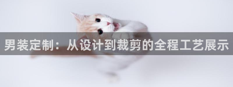摩登7招商讨333OO