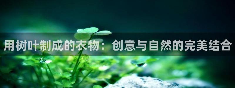 摩登7楼