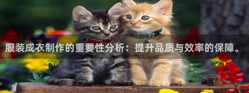 摩登3前7O667