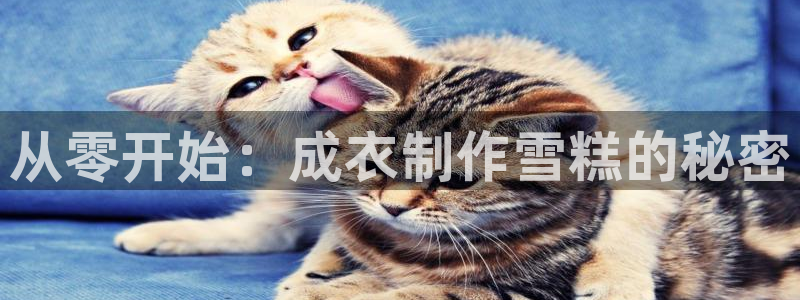 摩登平台标7O777