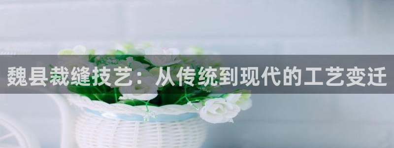 摩登7下载app