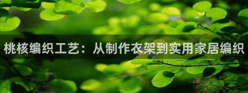 摩登7d2