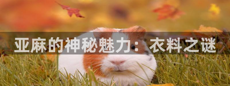 摩登7点