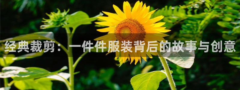 摩登7招商排名