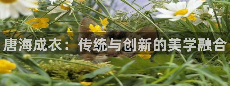 摩登7平台首页