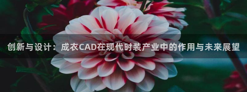 摩登6张7O667