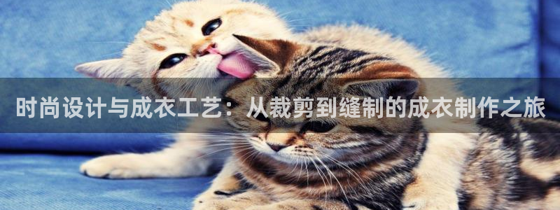 摩登7app网址下载