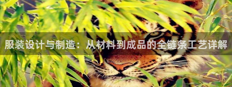 7牌摩登