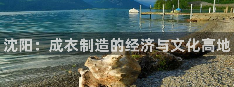 摩登7岁