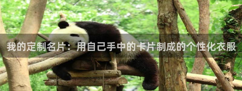 摩登6地7O667