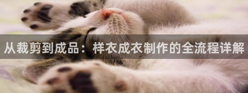 摩登7招商讨333OO