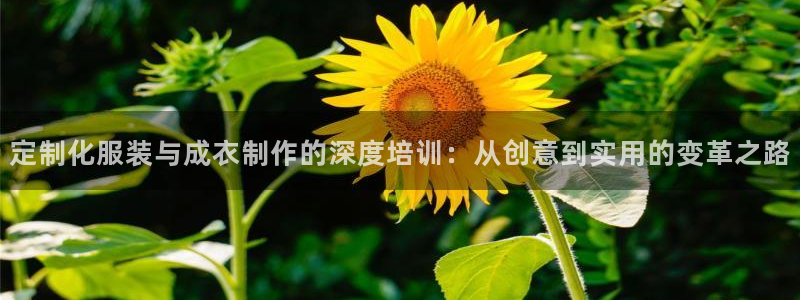 摩登7游戏