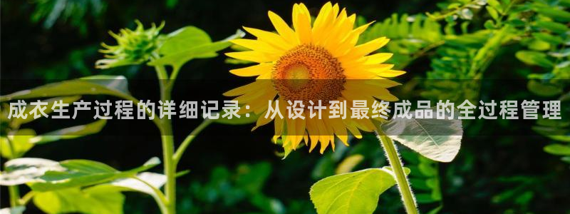 摩登7右7O667