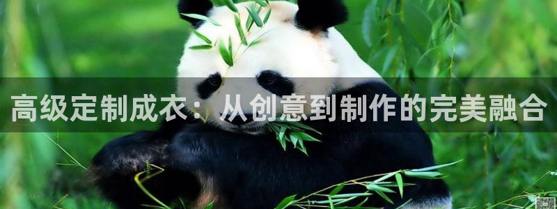 摩登7官网在哪下载
