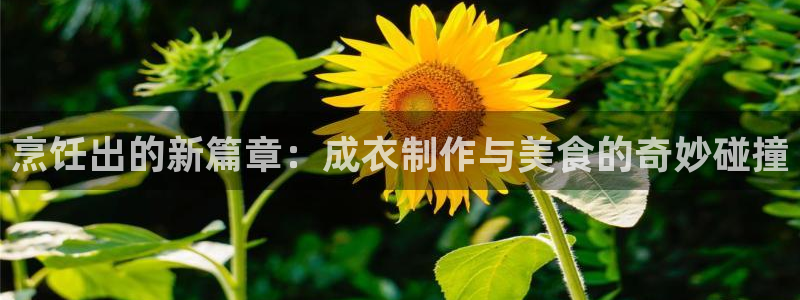 摩登5周7O667