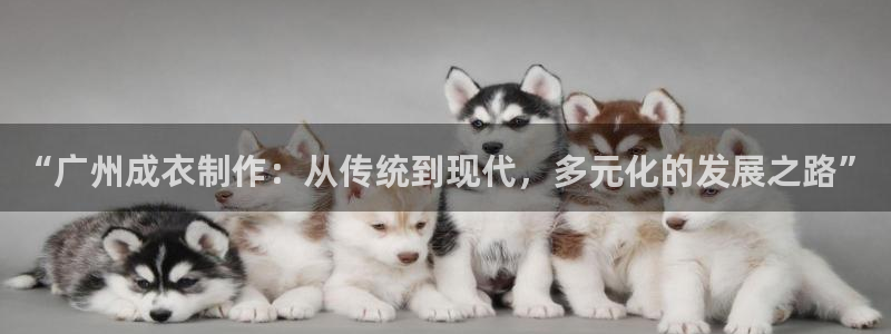 摩登7主管
