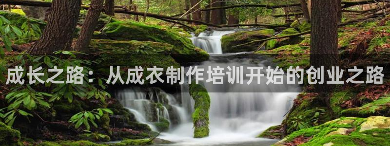摩登7高管